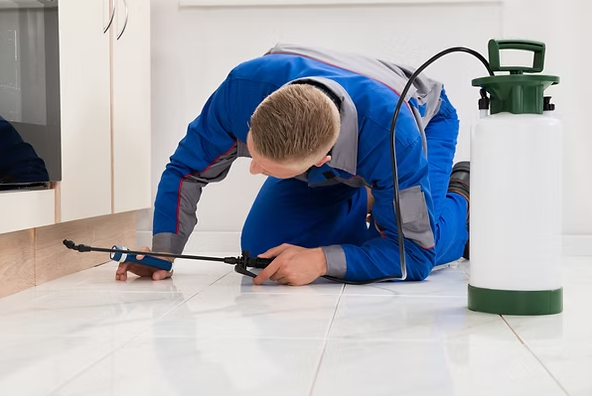 Aplicação de controle de pragas