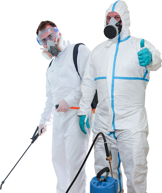 Equipe técnica equipada para controle de pragas